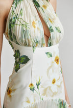 Load image into Gallery viewer, Botanical Maxi Dress